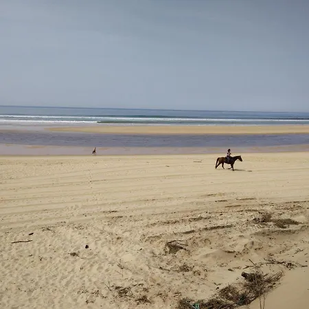 Elocances * 바이어스