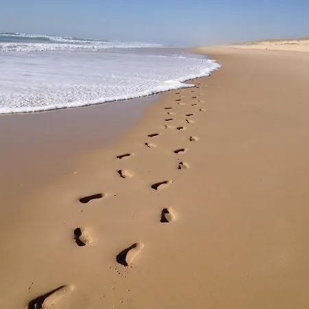 Elocances Bias (Landes)