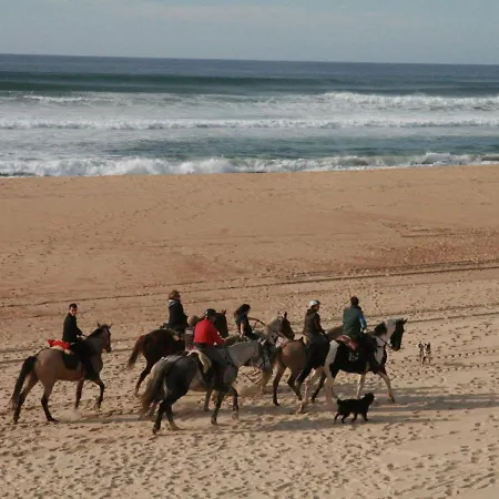 Chalet Elocances Bias (Landes)