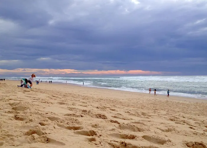 Elocances Chalet Bias (Landes)