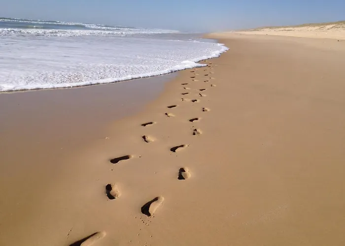 Elocances Bias (Landes)