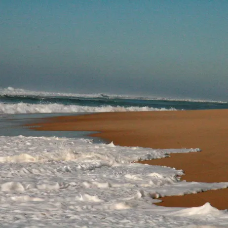 Alpstuga Elocances *