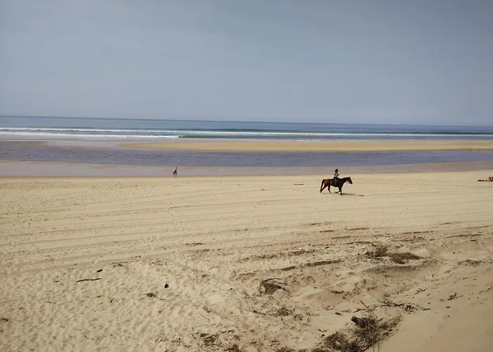 Elocances * Bias (Landes)