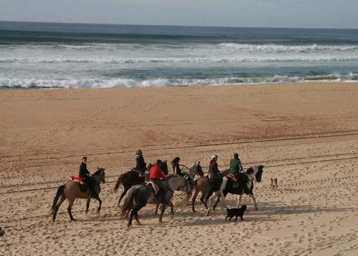 شاليه Elocances Bias (Landes)